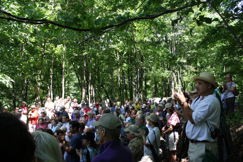 Grand Opening of Trestle, June 2013